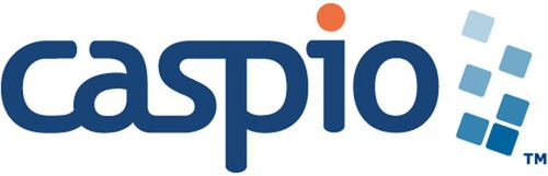 Caspio Best Software Reseller | Best Software Providers in India