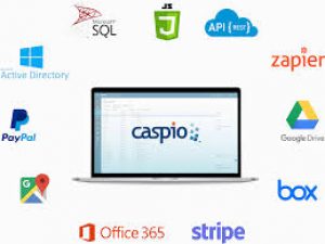 Caspio software - Software Resellers