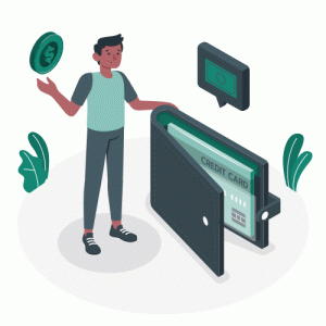 wallet Best Software Reseller | Best Software Providers in India