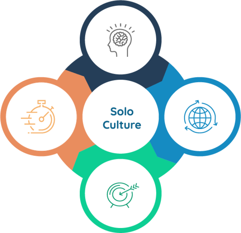 solo all values 1 Best Software Reseller | Best Software Providers in India