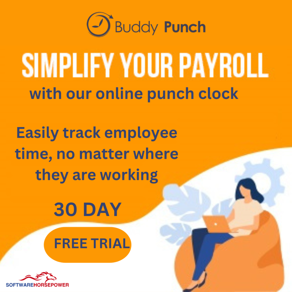 website buddy punch Best Software Reseller | Best Software Providers in India