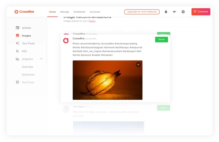 Image Curation 1 Best Software Reseller | Best Software Providers in India