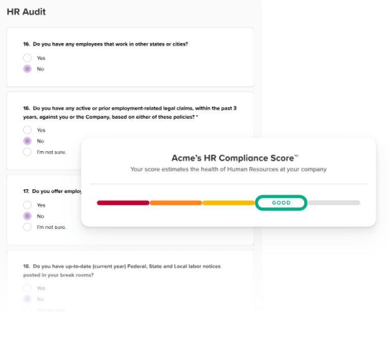 fr audit 1 Best Software Reseller | Best Software Providers in India
