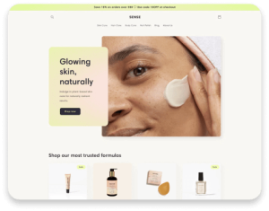 Website Builder 1 Best Software Reseller | Best Software Providers in India