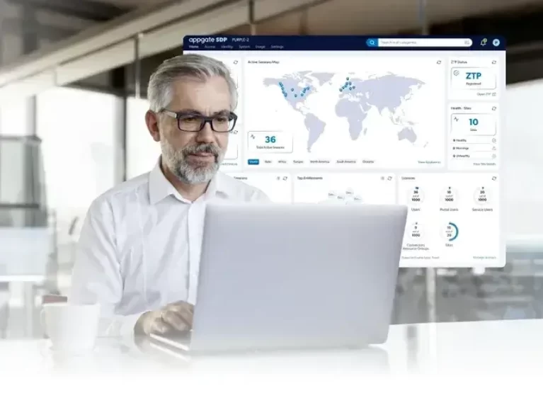 Enable Fast Secure Access in Dynamic Environments 1 Best Software Reseller | Best Software Providers in India