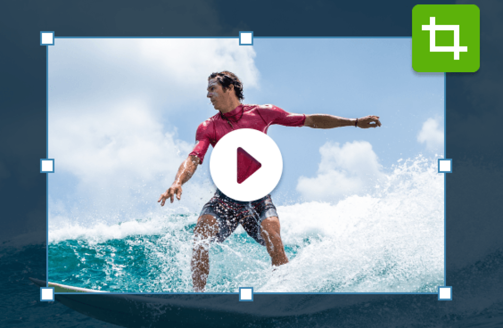 Crop a video Best Software Reseller | Best Software Providers in India