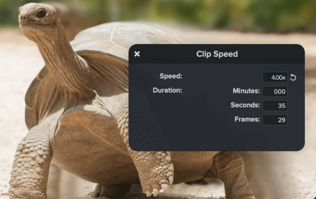 Speed up videos Best Software Reseller | Best Software Providers in India