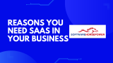 Reasons you need SAAS in your business